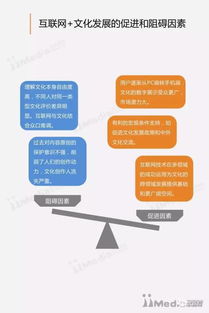 《連接與賦能 2017年中國互聯(lián)網(wǎng)文化專題研究下的網(wǎng)絡技術(shù)咨詢服務嬗變》